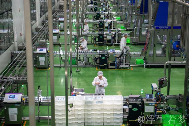 “实招”“硬招”护航民营经济破浪前行 “实招”“硬招”护航民营经济破浪前行